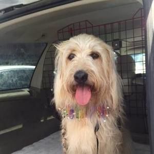 Meet your Posher, Crickmay